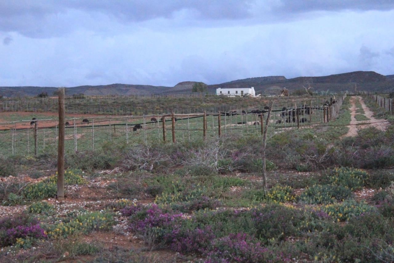 Ferienwohnung Pureplaas Self Catering Volmoed Oudtshoorn Klein Karoo Exterior foto